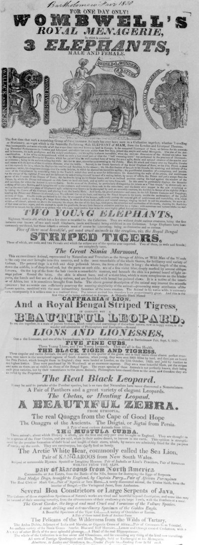 Plakat for Wombwells Royal Menageries opptreden på Bartholomew Fair, 1830 (trykt papir) av English School